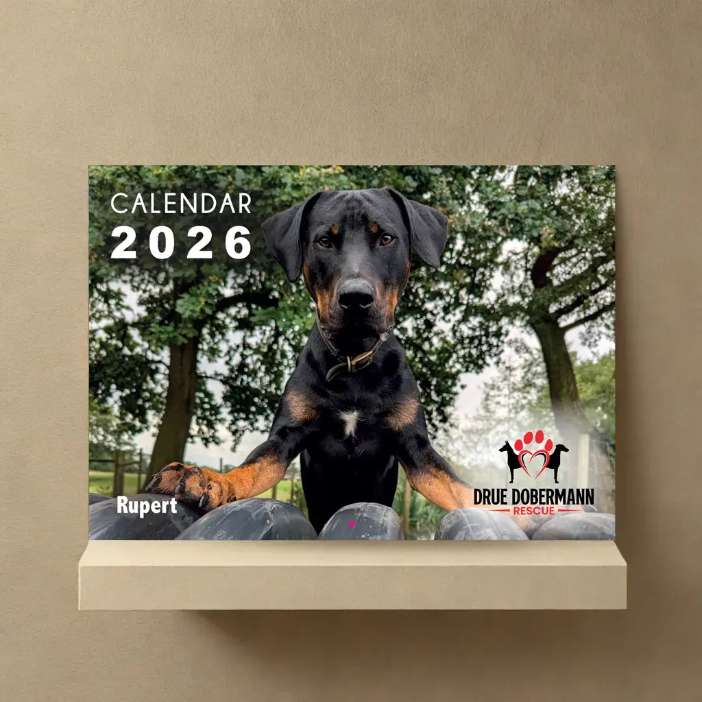 DRUE 2026 Dobermann Calendar