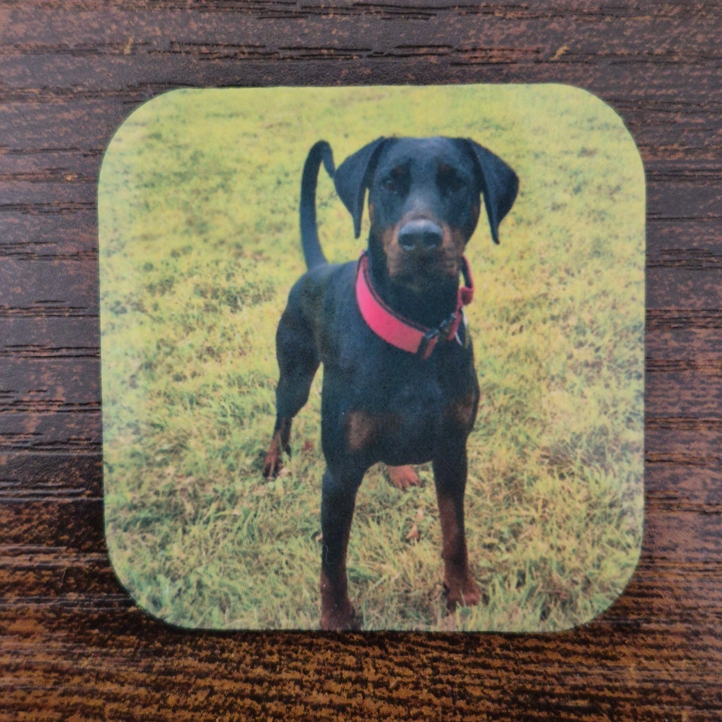 Fridge magnets 2" x 2"