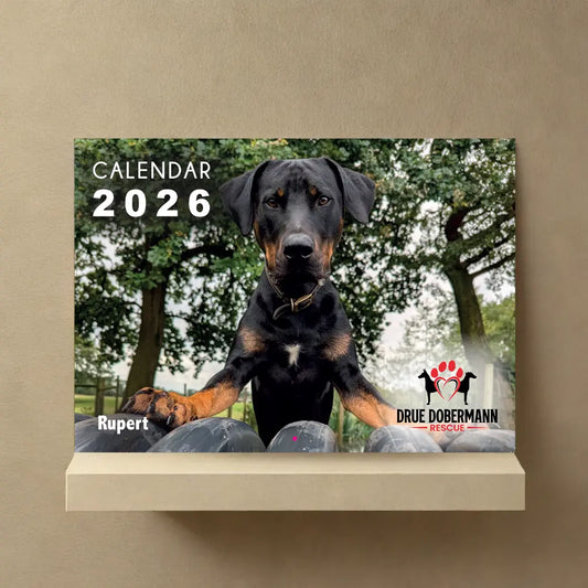 DRUE 2026 Dobermann Calendar