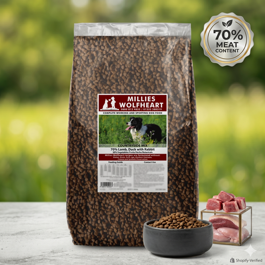 High quality food for a rescue dog