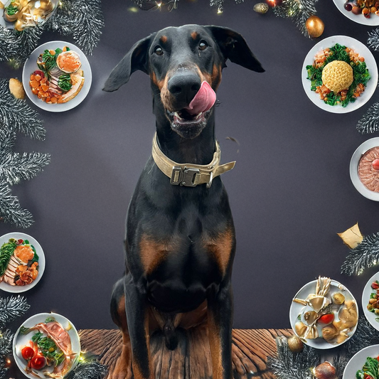 Christmas Dinner for a rescue Dobie