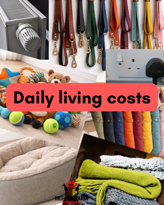 Daily living costs for our dogs care