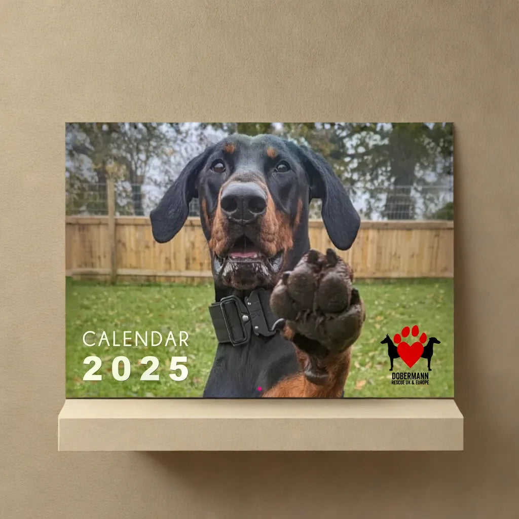 DRUE 2025 Dobermann Calendar