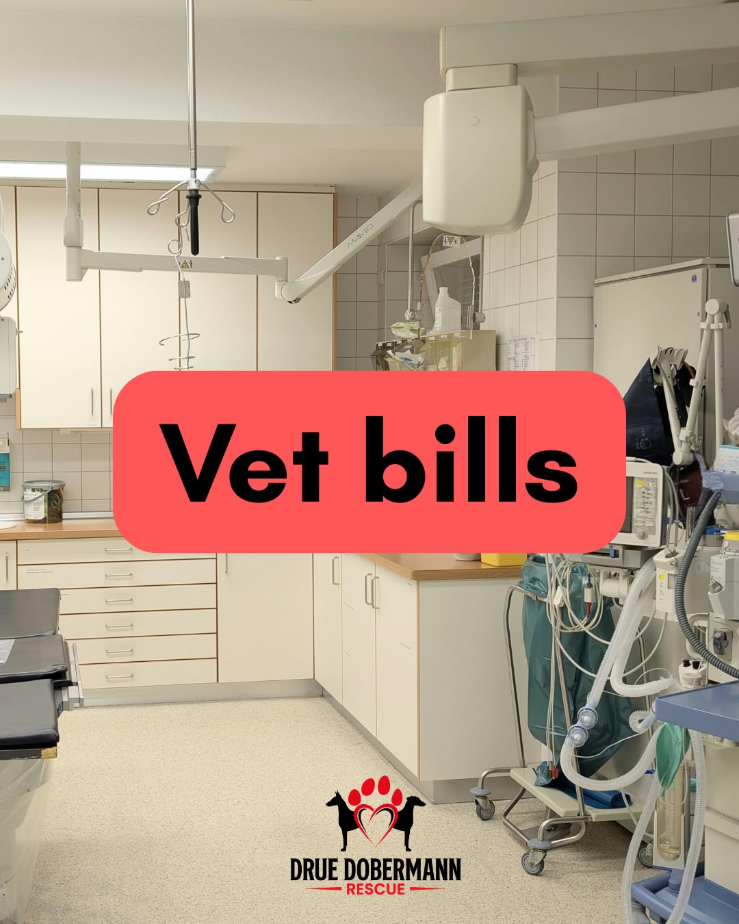 Daily living costs for our dogs care